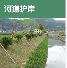 <b>绿化护坡用袋</b>